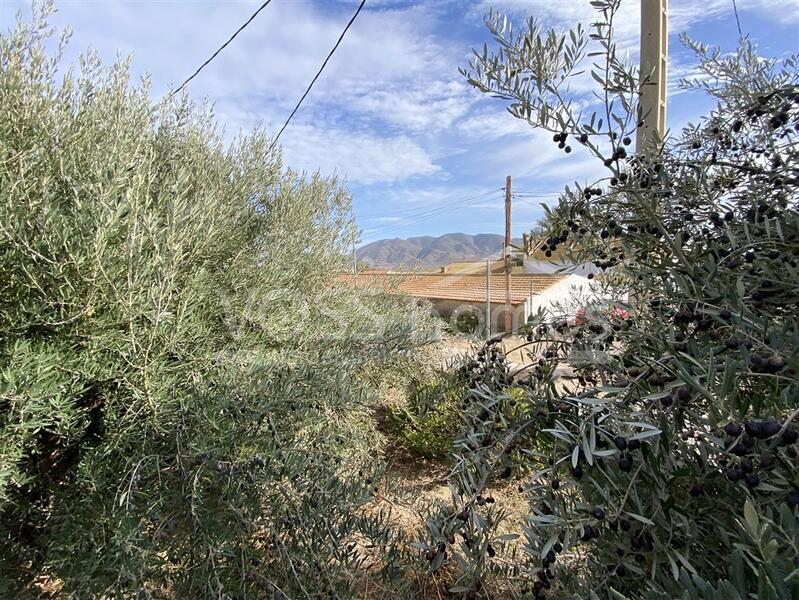 VH2678: Country House / Cortijo for Sale in Huércal-Overa Villages