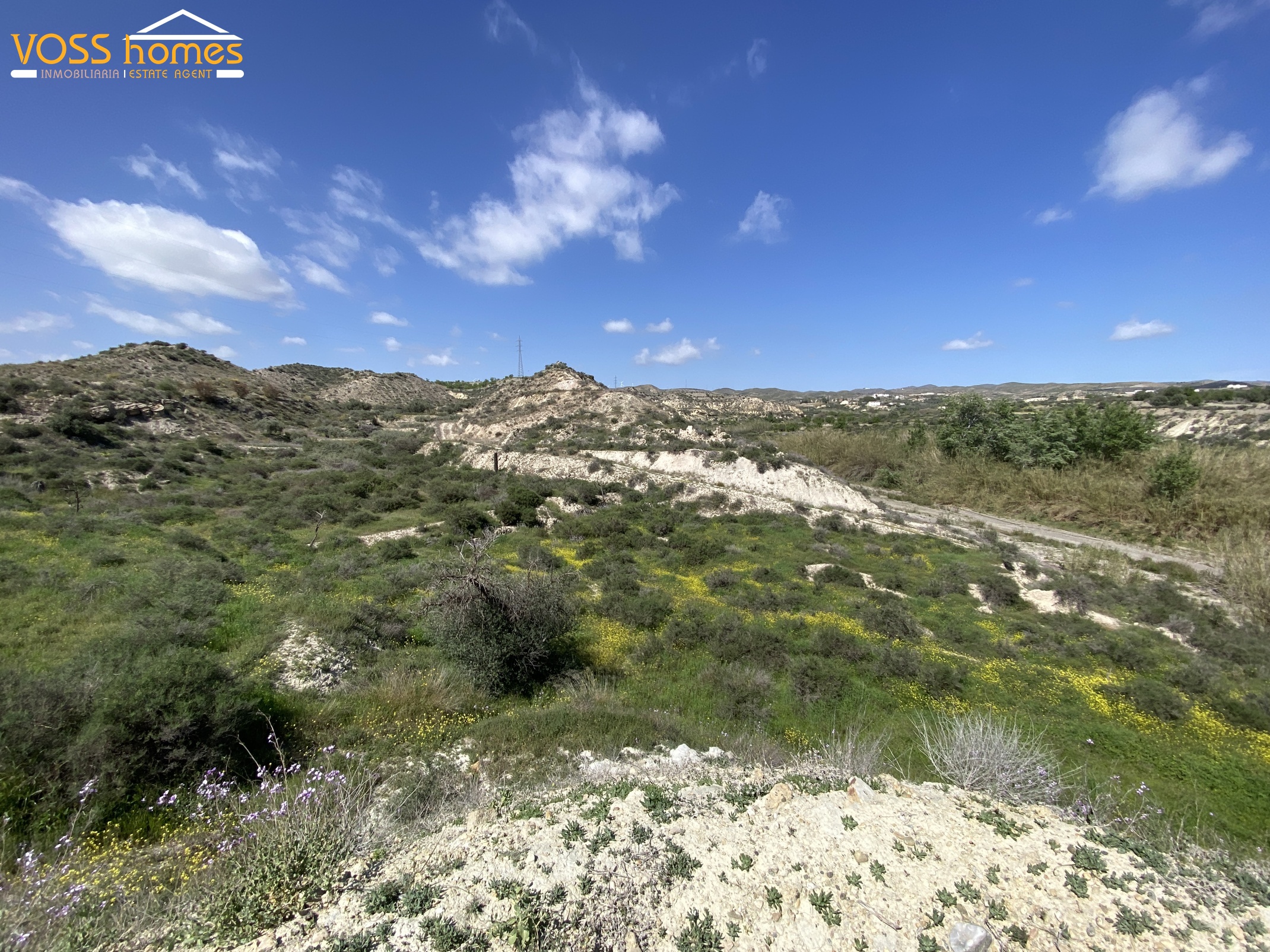 VH2708: Villa for Sale in Huércal-Overa Countryside