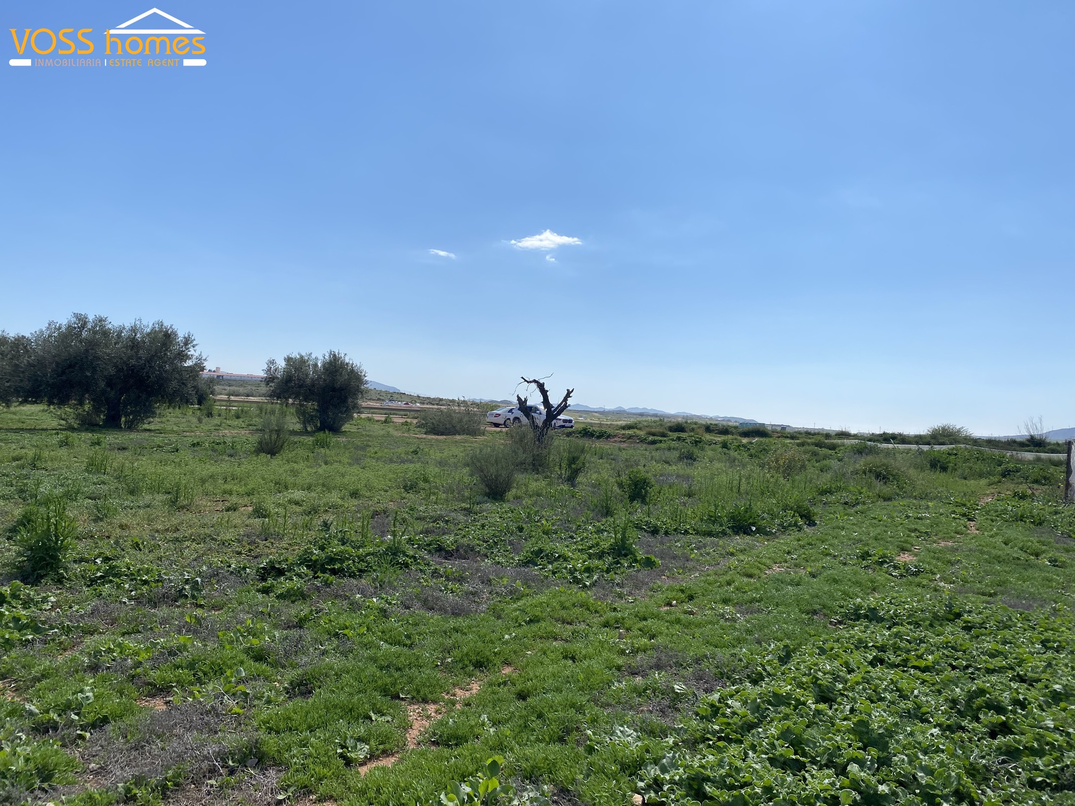 VH2719: Country House / Cortijo for Sale in Huércal-Overa Countryside