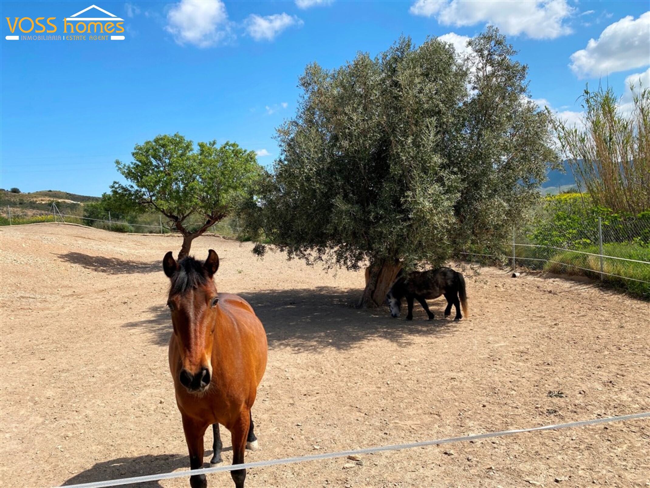 Cortijo Alma Ecuestre plus 2 Guesthouses in total in Huércal-Overa, Almería