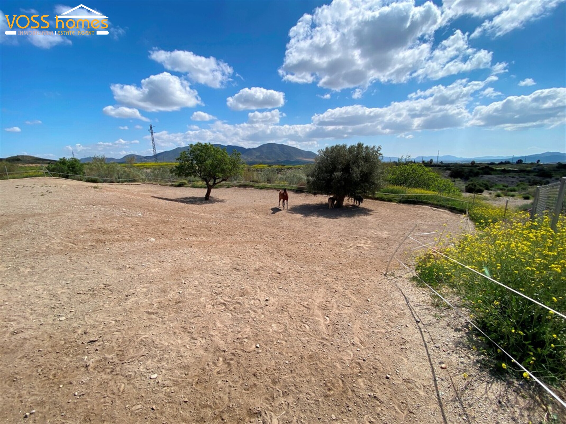 VH2728: Country House / Cortijo for Sale in Huércal-Overa Countryside