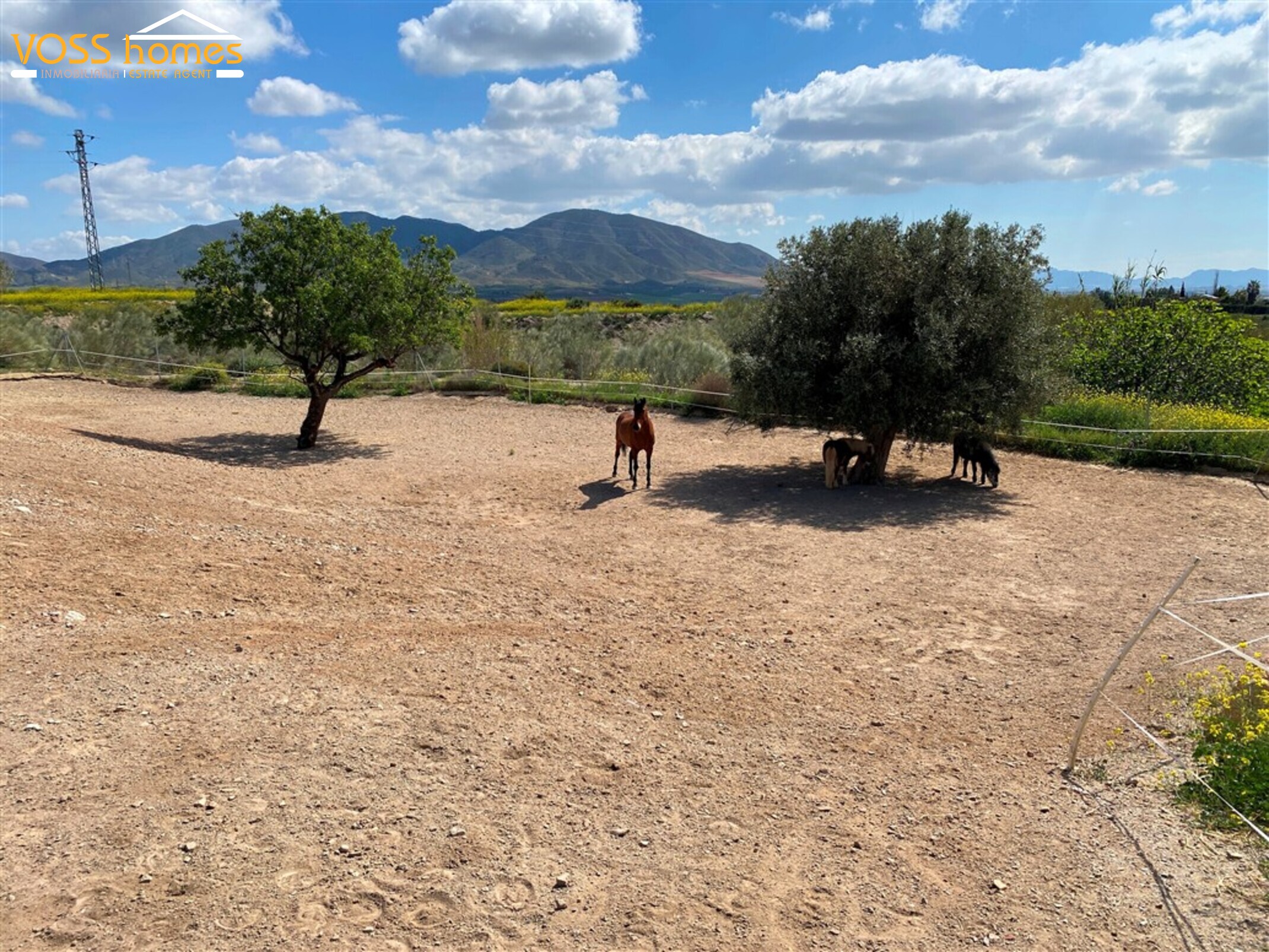 VH2728: Country House / Cortijo for Sale in Huércal-Overa Countryside