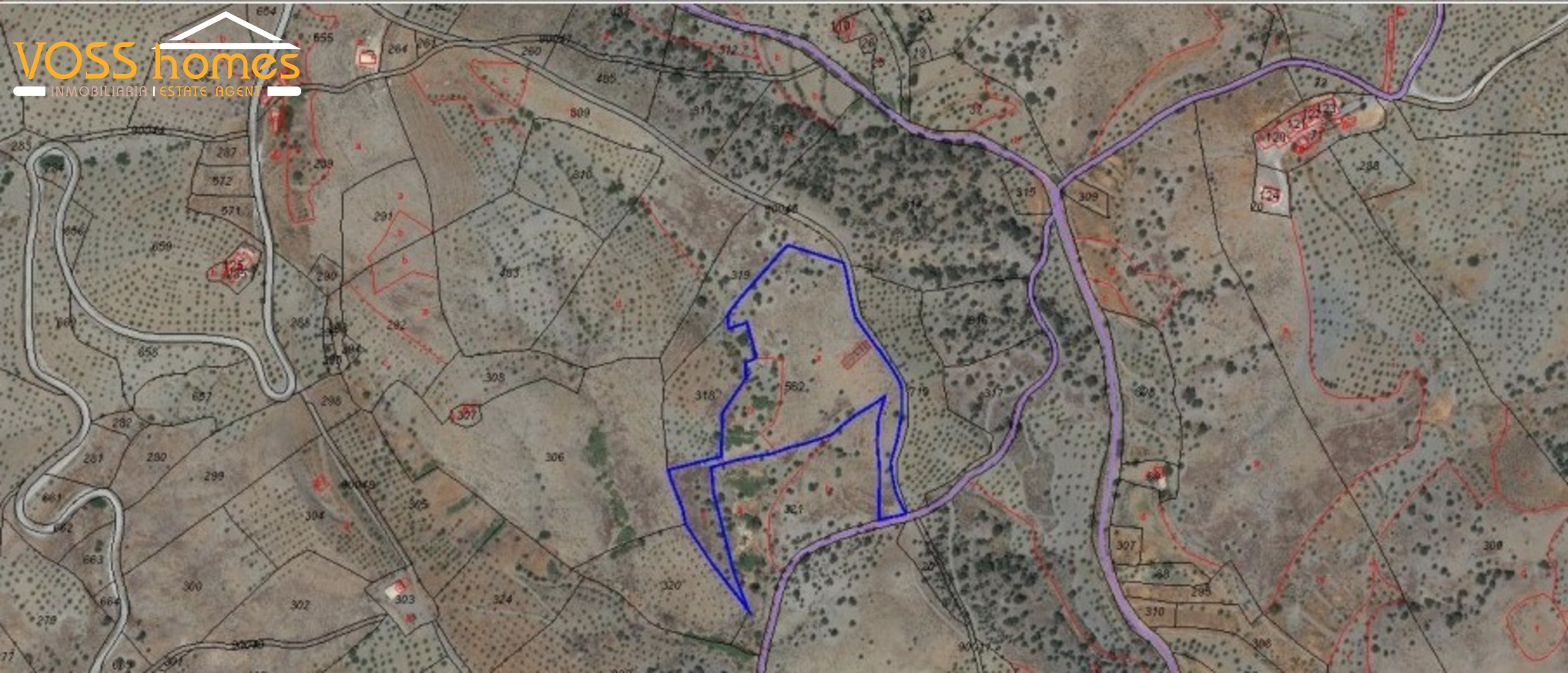 Land Cañadas in Velez-Rubio, Almería