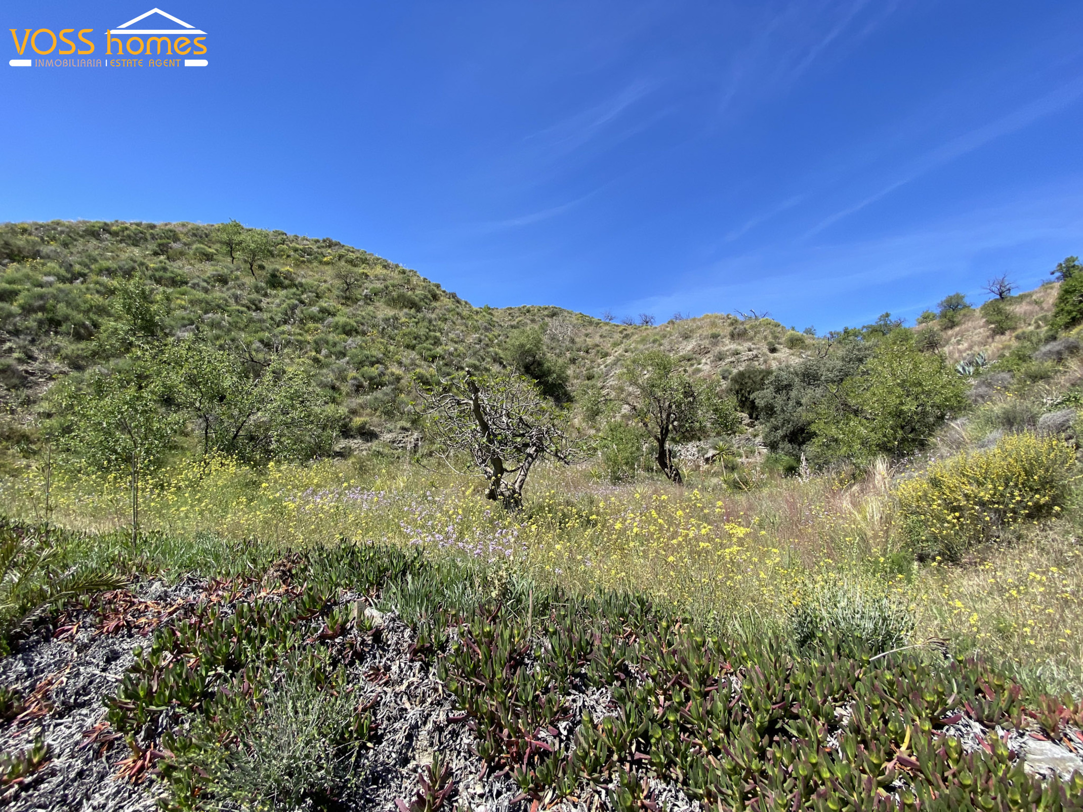 VH2734: Country House / Cortijo for Sale in Huércal-Overa Countryside