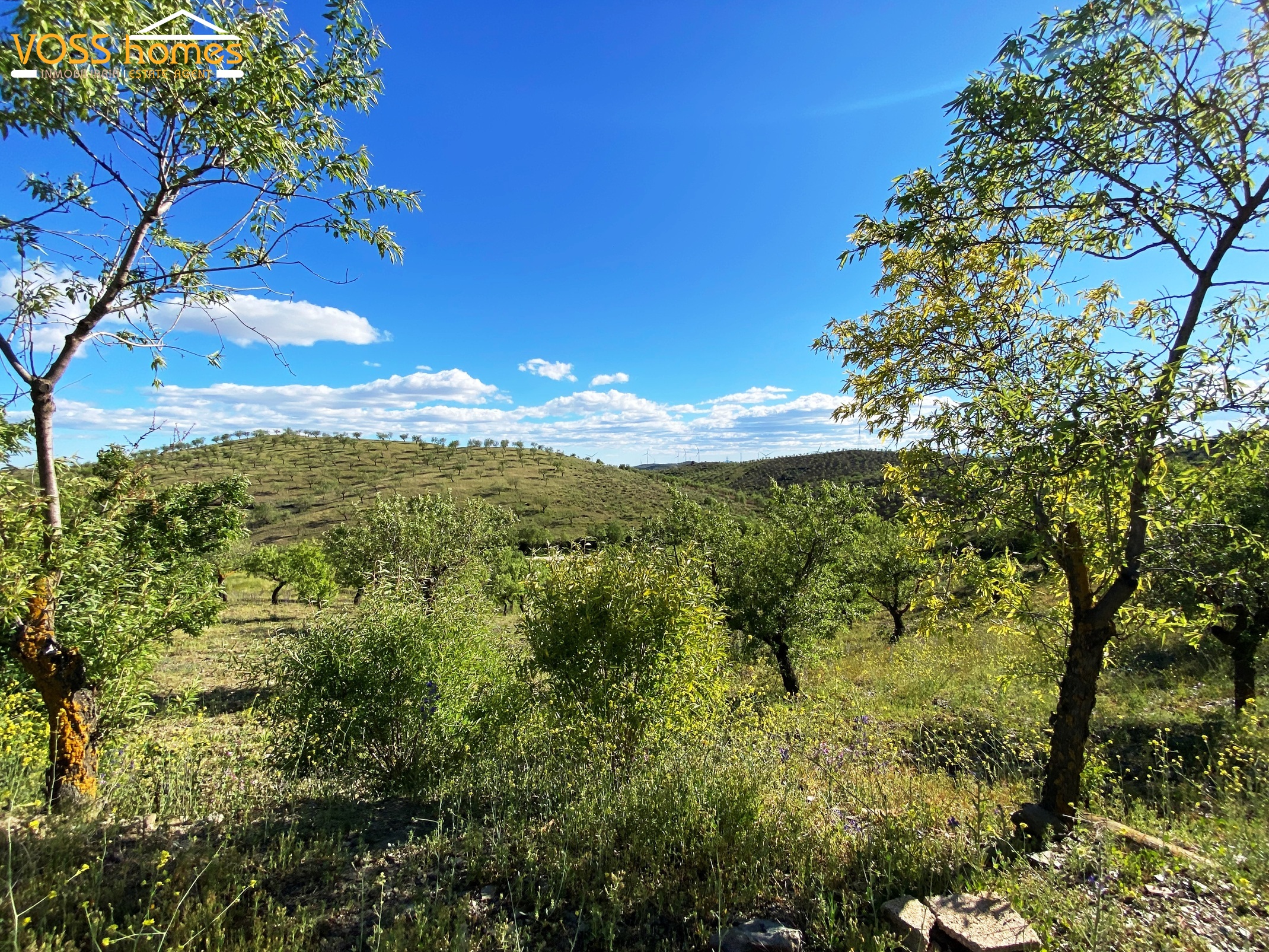 VH2738: Country House / Cortijo for Sale in Velez Rubio Area