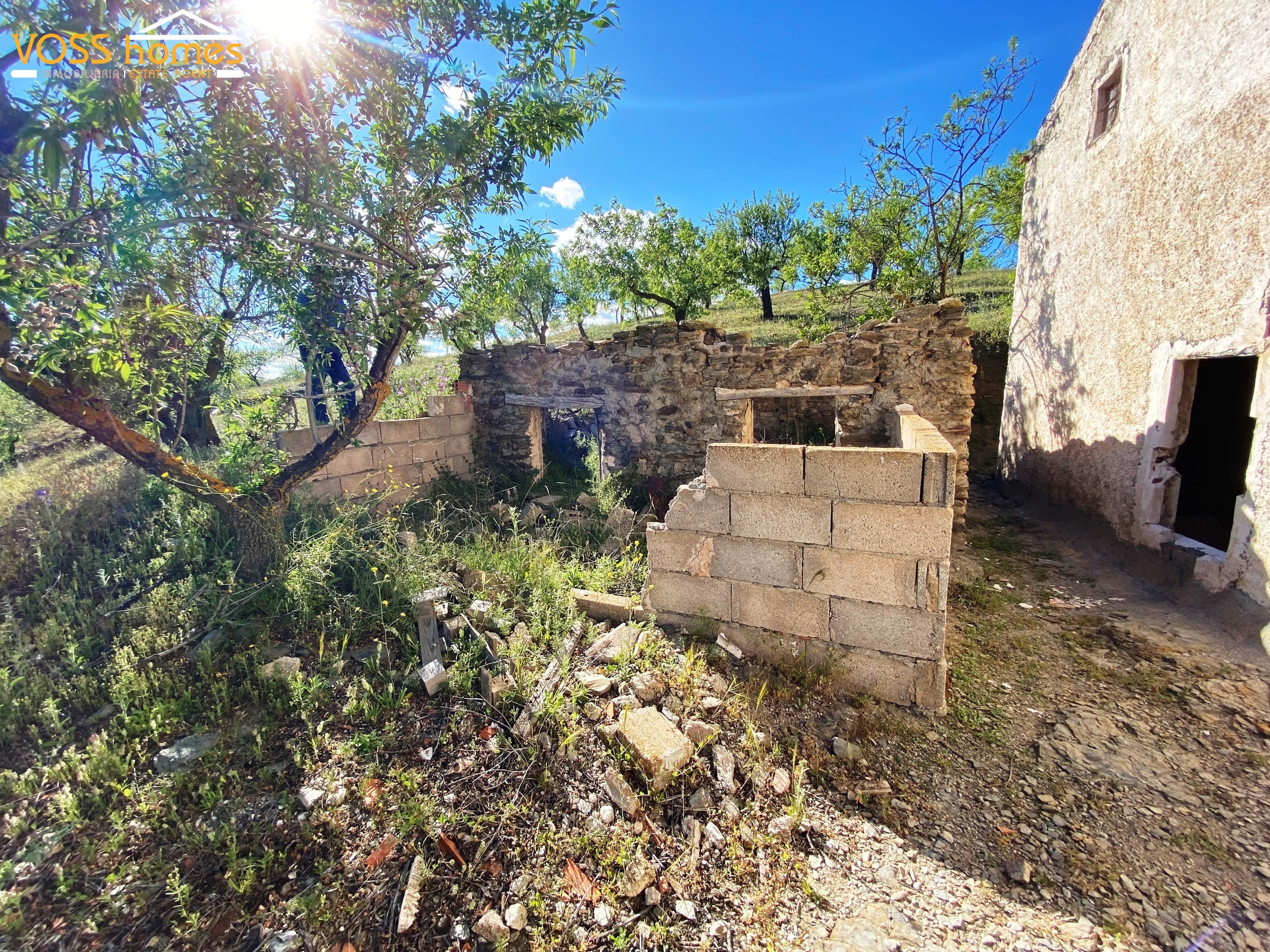 VH2738: Country House / Cortijo for Sale in Velez Rubio Area