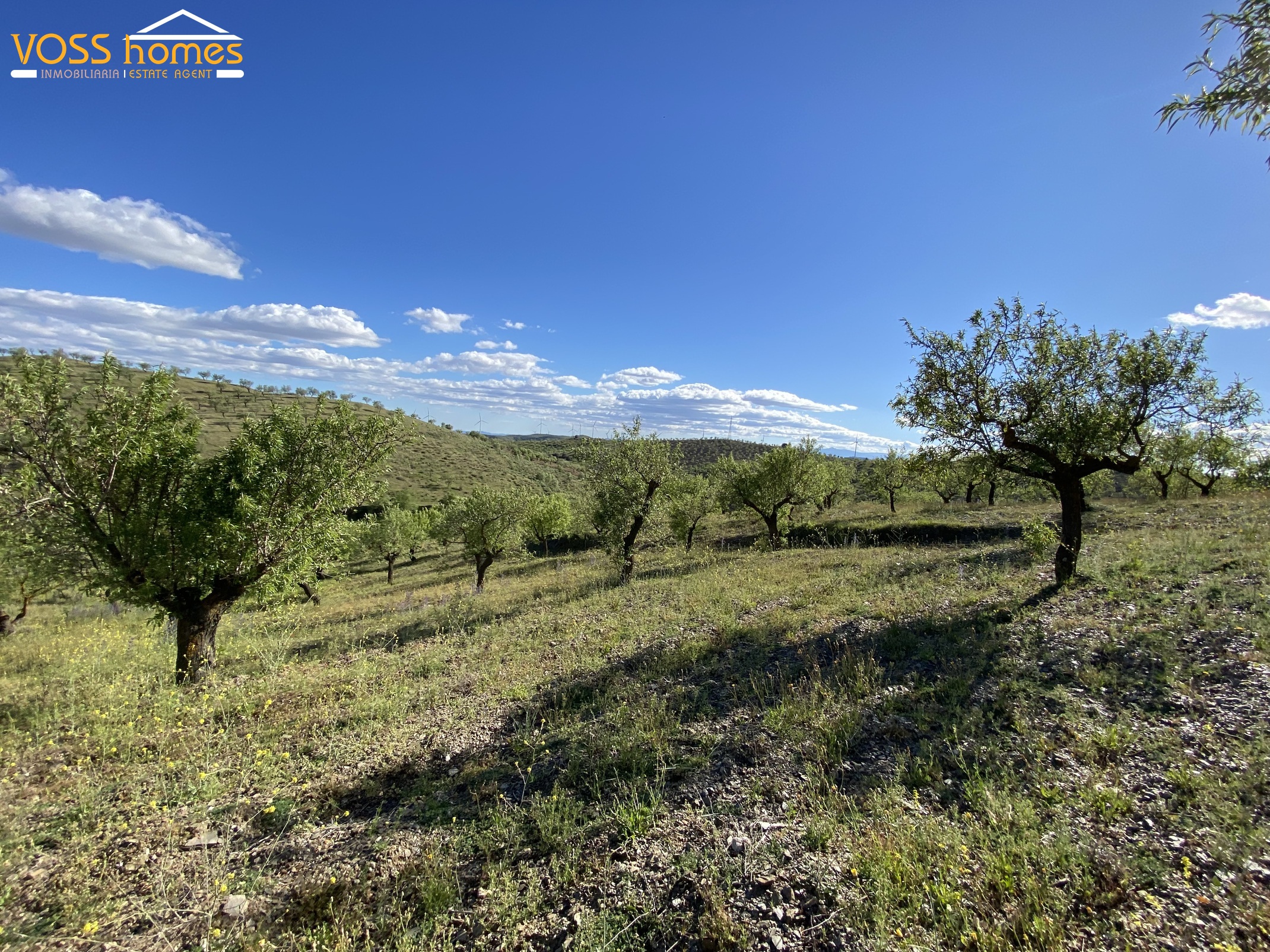 VH2738: Country House / Cortijo for Sale in Velez Rubio Area