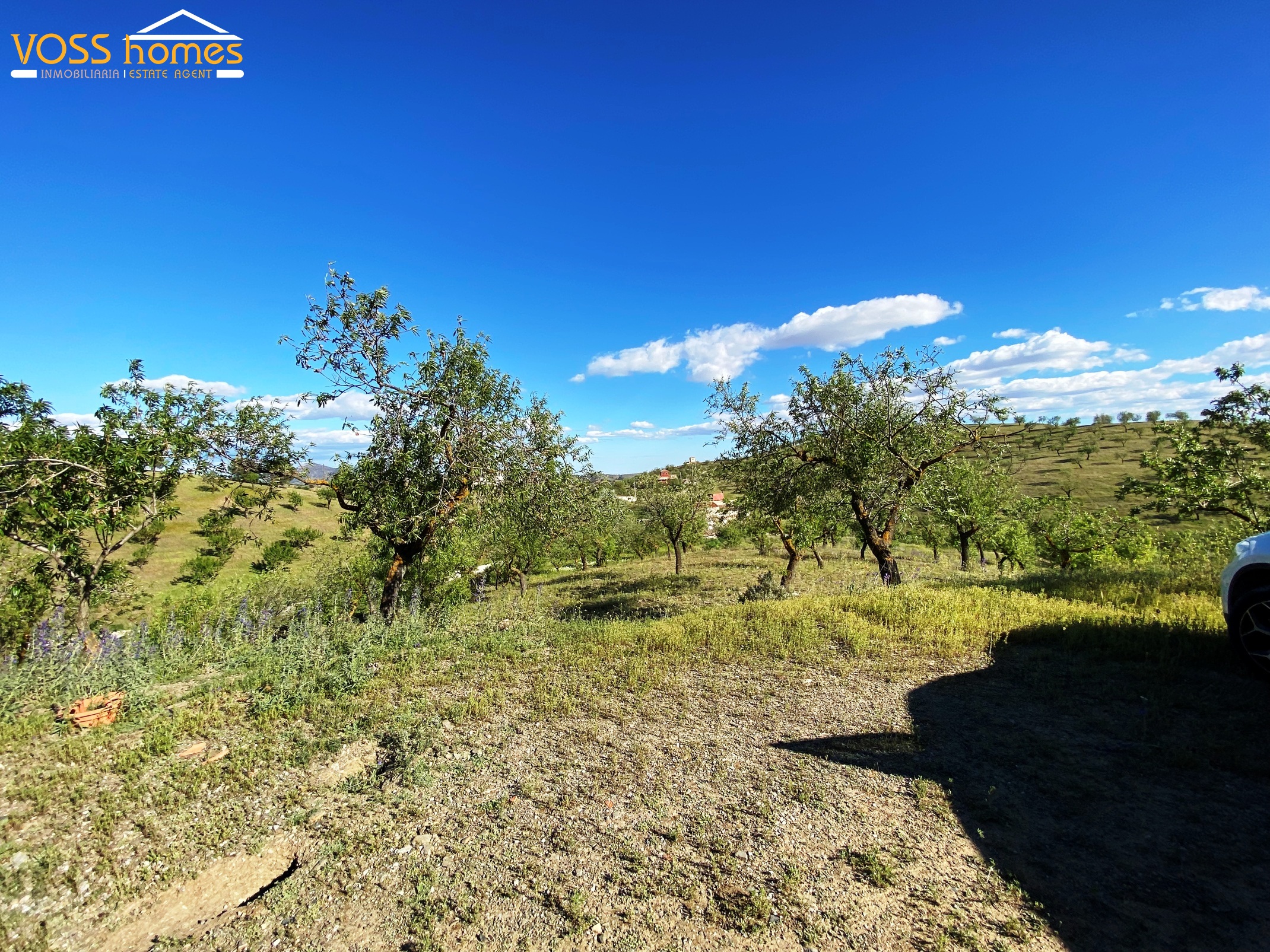 VH2738: Country House / Cortijo for Sale in Velez Rubio Area