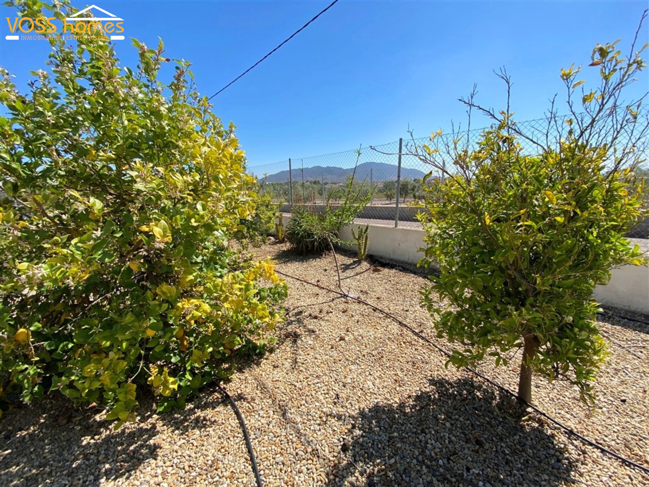 VH2740: Villa en venta en Campo Huércal-Overa
