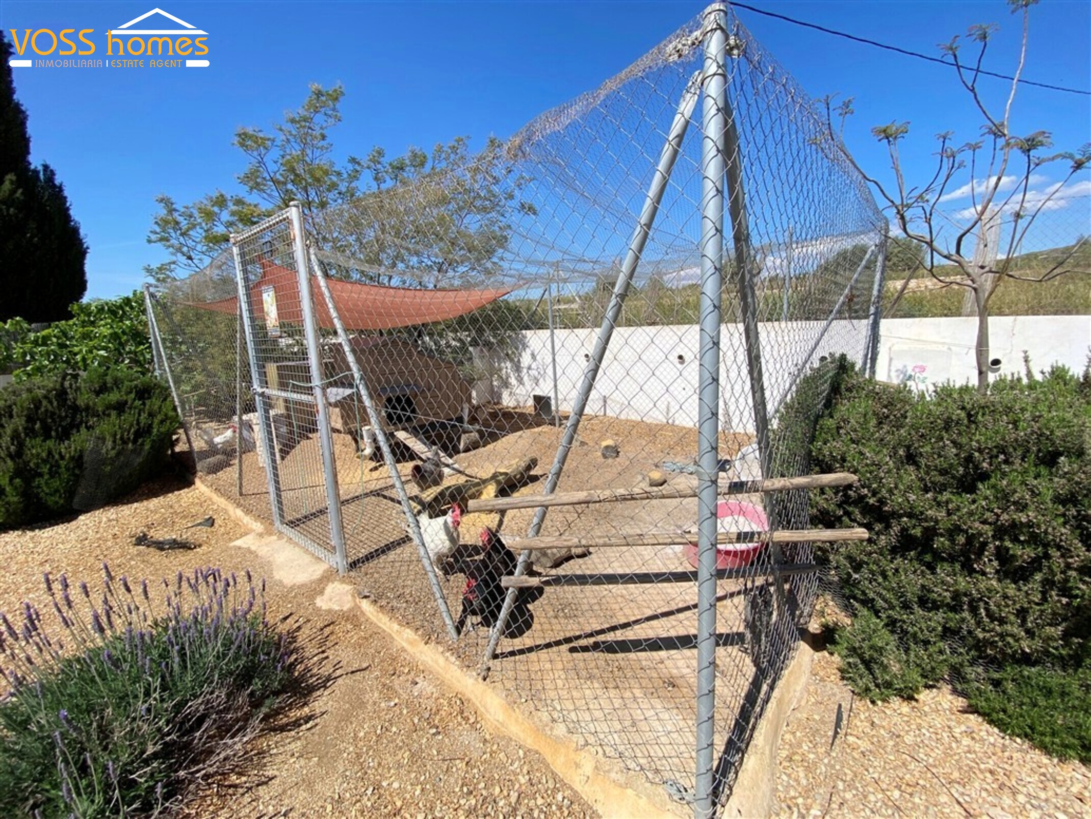 VH2740: Villa en venta en Campo Huércal-Overa