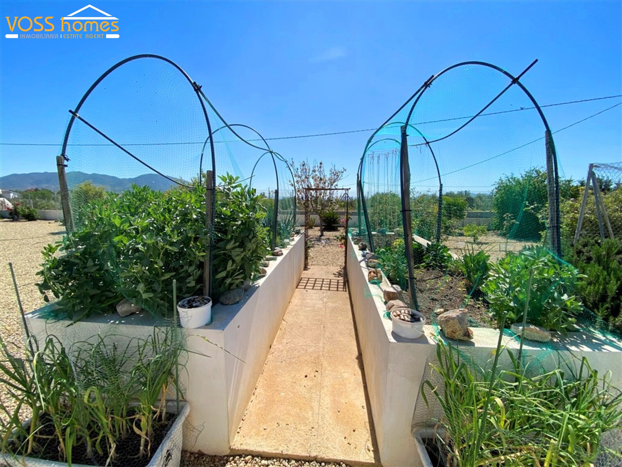 VH2740: Villa en venta en Campo Huércal-Overa