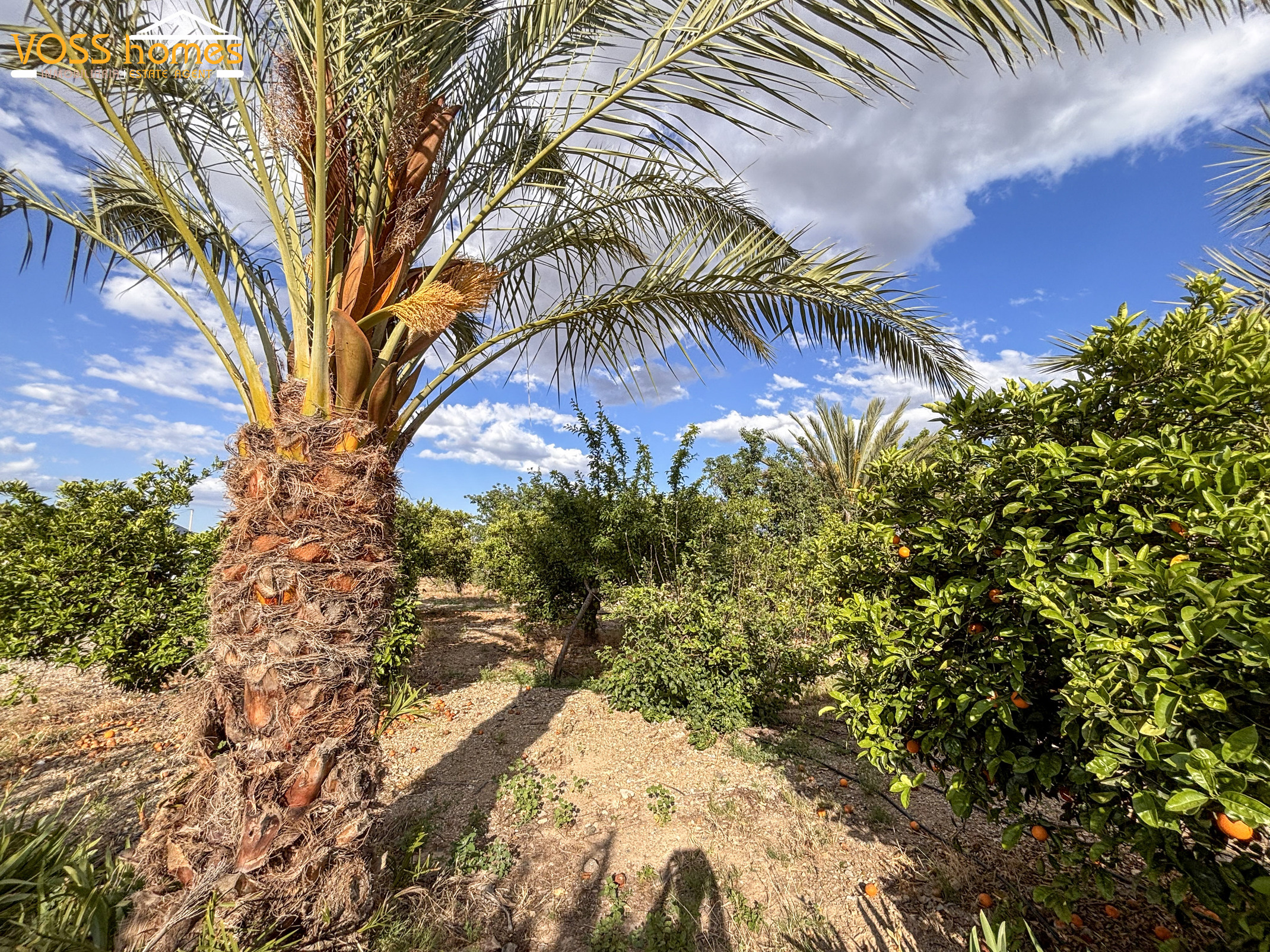 VH2752: Country House / Cortijo for Sale in Huércal-Overa Countryside