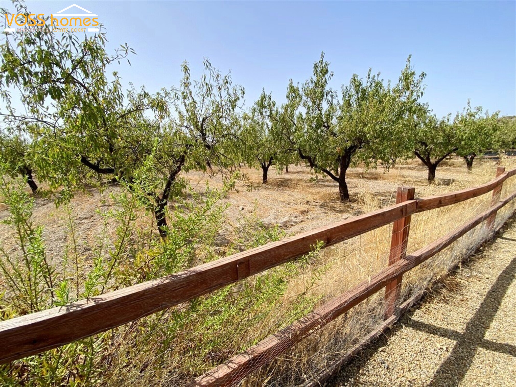 VH2800: Villa for Sale in Huércal-Overa Countryside