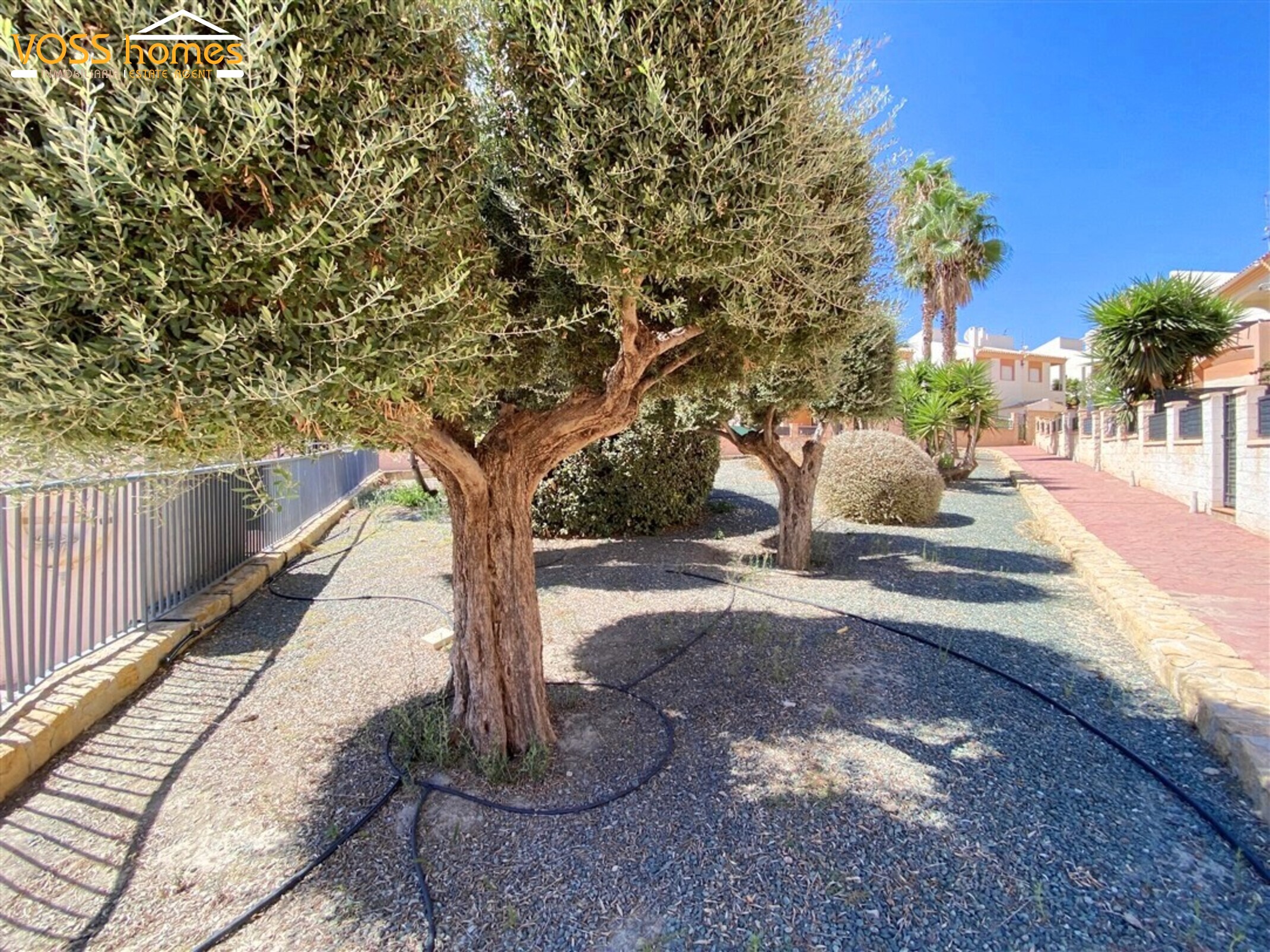 VH2829: Duplex for Sale in La Alfoquia Area