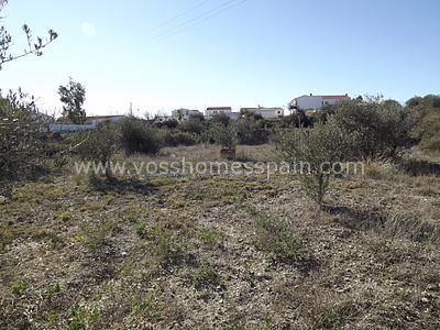 VH304: Rustic Land for Sale in Huércal-Overa Countryside