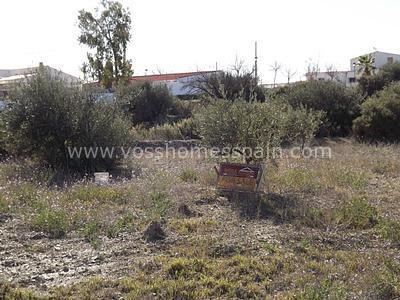 VH304: Rustikales Land zu verkaufen im Huércal-Overa Landschaft