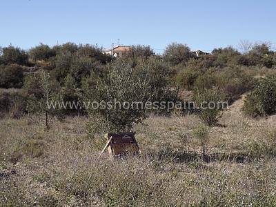 VH304: Rustic Land for Sale in Huércal-Overa Countryside