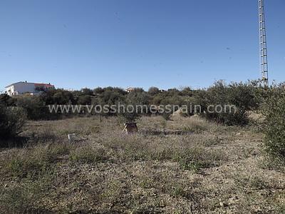 VH304: Rustic Land for Sale in Huércal-Overa Countryside