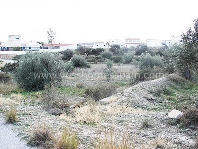 VH304: Rustic Land for Sale in Huércal-Overa Countryside