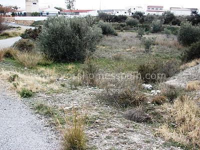 VH304: Rustic Land for Sale in Huércal-Overa Countryside