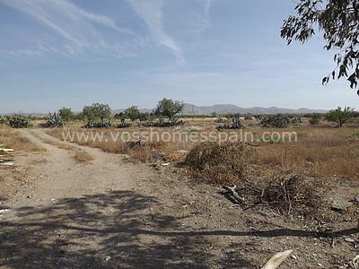 VH362: Country House / Cortijo for Sale in Huércal-Overa Countryside