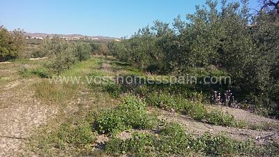 VH857: Деревенские земли продается в Деревня Huércal-Overa