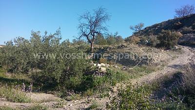 VH857: Rustikales Land zu verkaufen im Huércal-Overa Landschaft