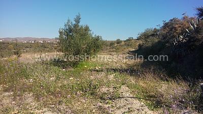 VH857: Rustic Land for Sale in Huércal-Overa Countryside