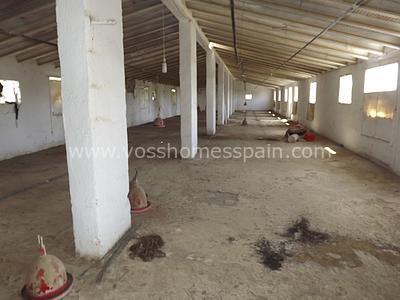 VH952: Commercial for Sale in Huércal-Overa Villages