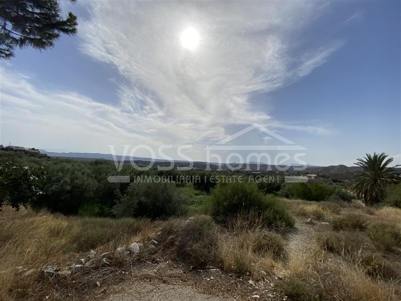 VHR2227: Country House / Cortijo for Rent in Huércal-Overa Countryside