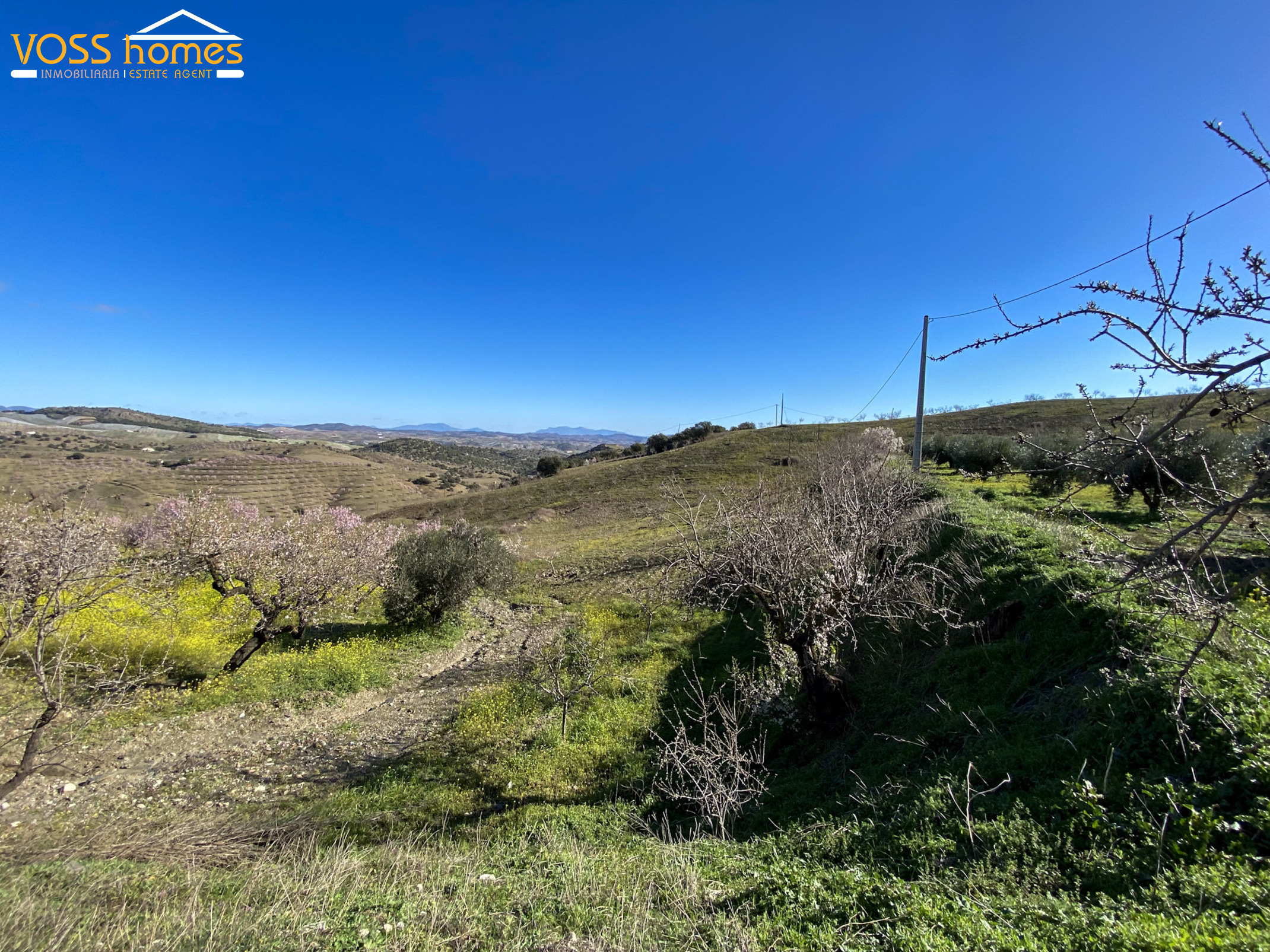 VHR2707: Apartment for Rent in Velez Rubio Area