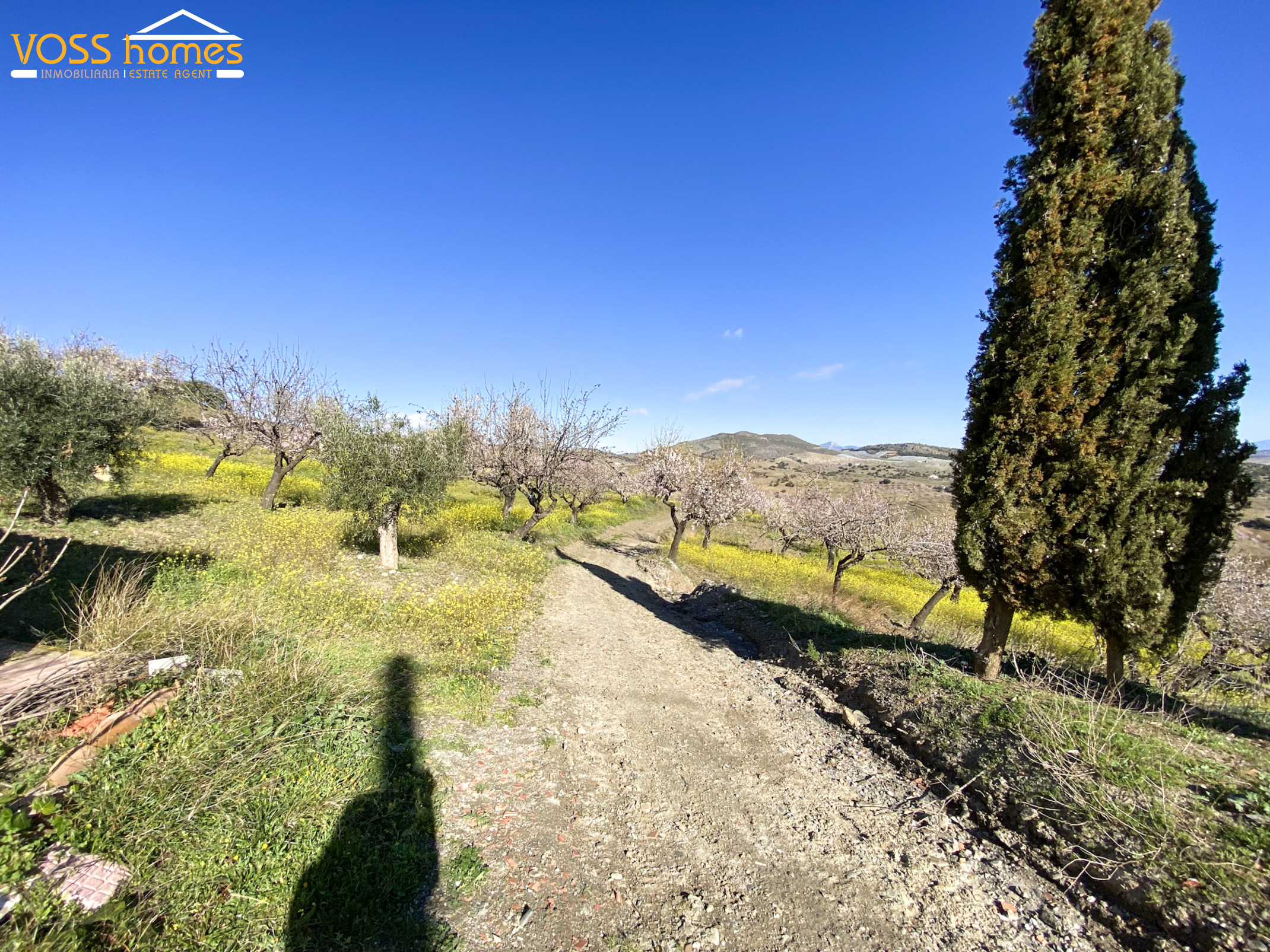 VHR2707: Apartment for Rent in Velez Rubio Area